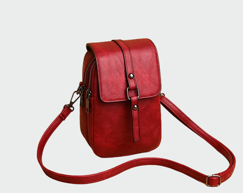Bolso Pequeño Elegante con Hebilla